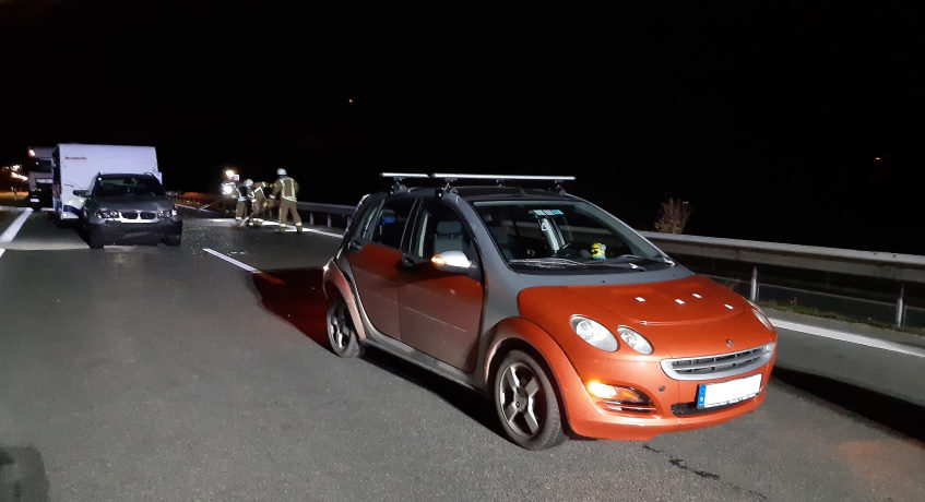 Kühe auf der Autobahn